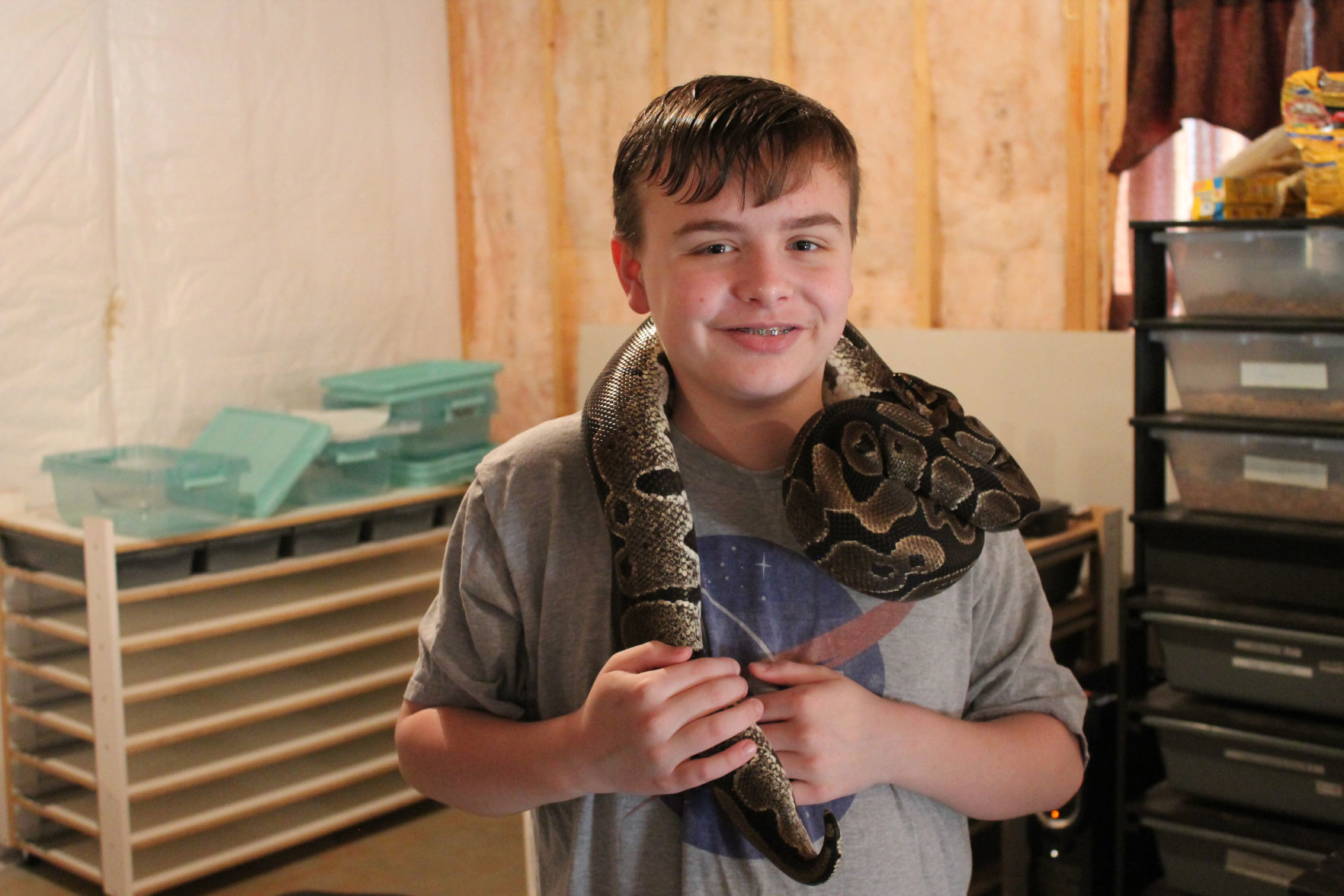 Reptiles